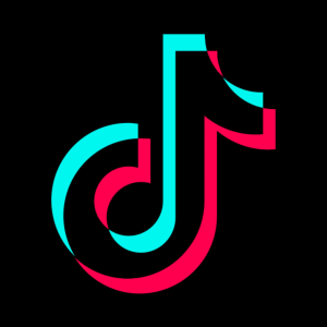 TikTok icon in Royaleboss