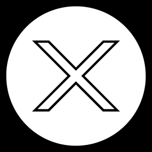 Twitter X icon in Royaleboss